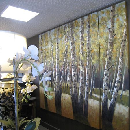 בתהרסט Country Lodge Motor Inn מראה חיצוני תמונה